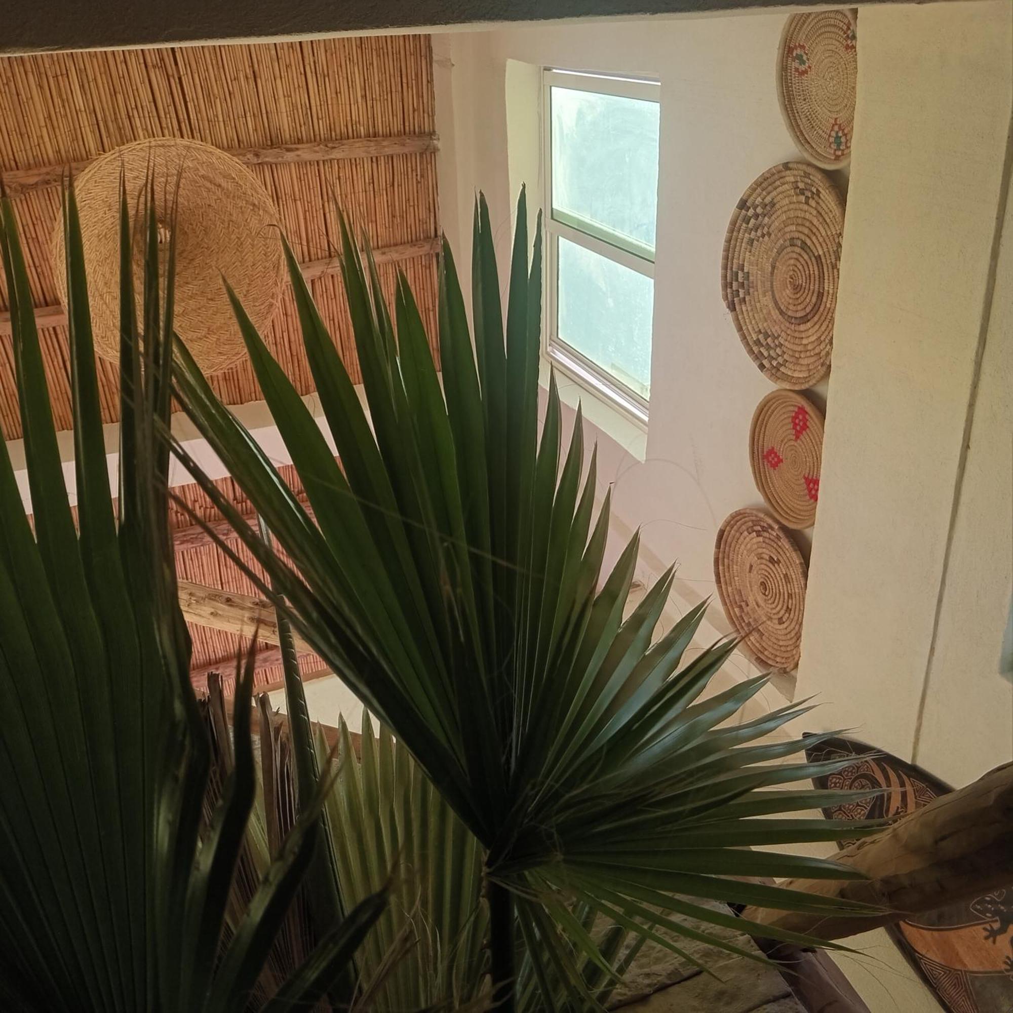 Moroccan Boho Surf House Agadir Esterno foto