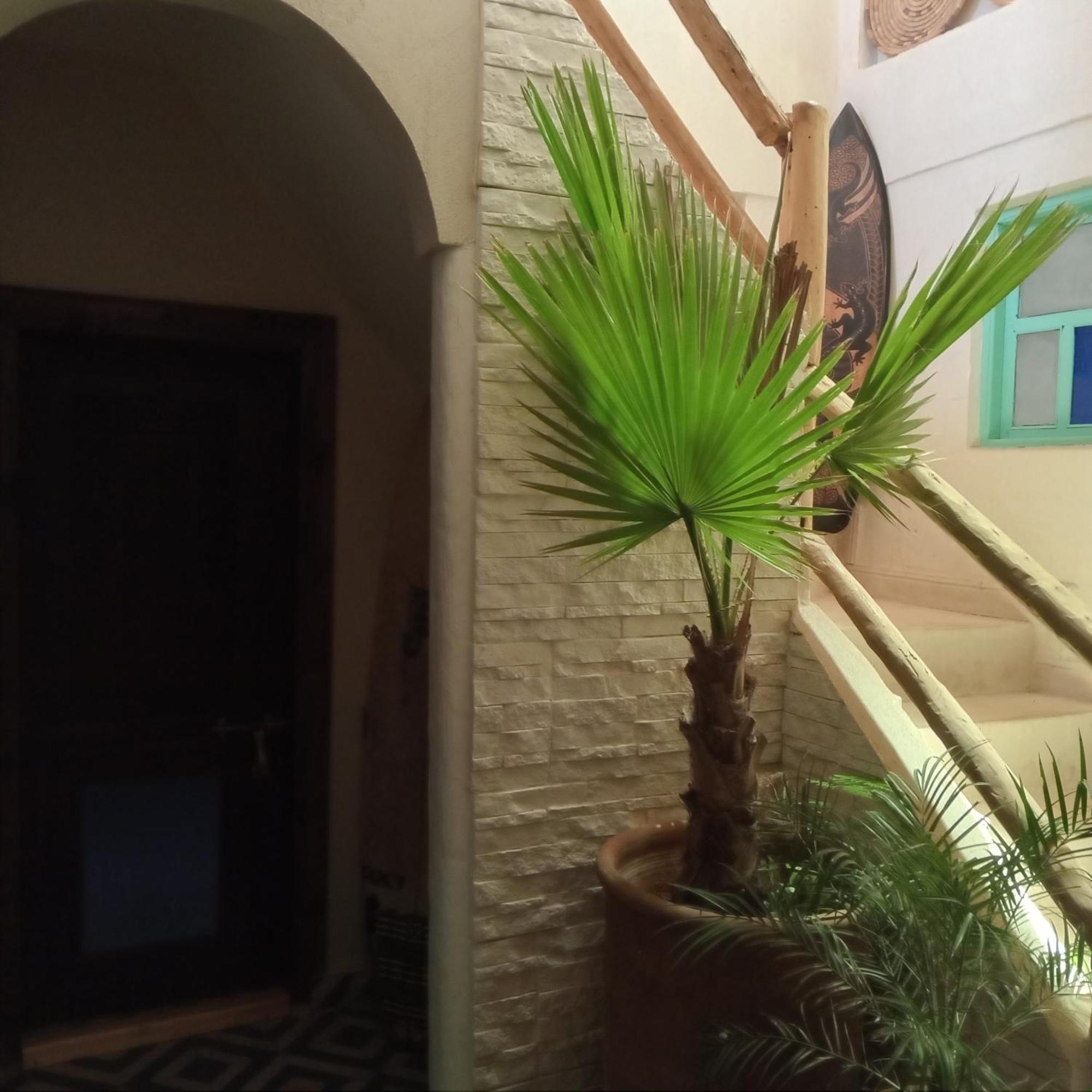 Moroccan Boho Surf House Agadir Esterno foto